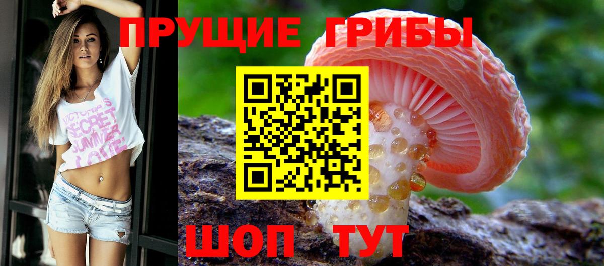 Рославль  Псилоцибиновые грибы Cubensis  Вход с VPN 